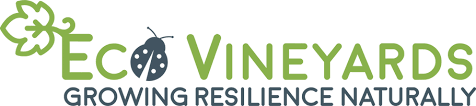 ecovineyards